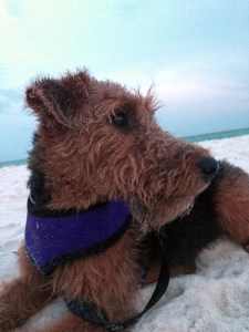 Nia _Success story_1